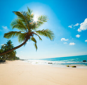 9 Tage Gambia im guten 4* Hotel mit Flug, Transfer und Frühstück nur 349 € 9 Tage Gambia im guten 4* Hotel mit Flug, Transfer und Frühstück nur 349 €