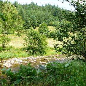 3 oder 5 Tage Oberharz mit Wandern, UNESCO Weltkulturerbe, Frühstück & Specials ab 59 € 3 oder 5 Tage Oberharz mit Wandern, UNESCO Weltkulturerbe, Frühstück & Specials ab 59 €