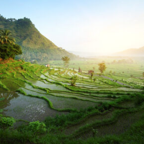15 Tage Inselhopping in Indonesien inkl. allen Flügen, Hotels & Frühstück ab 1369 € 15 Tage Inselhopping in Indonesien inkl. allen Flügen, Hotels & Frühstück ab 1369 €