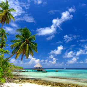 Karibik: 15 Tage Martinique mit 3* Hotel inkl. Flügen für 826 € Karibik: 15 Tage Martinique mit 3* Hotel inkl. Flügen für 826 €