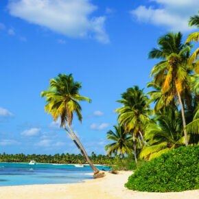 Barbados Karibik Warm im Winter