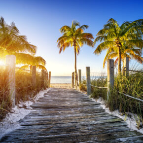 Nur heute: Flüge nach Fort Lauderdale / Florida nur 499 € Nur heute: Flüge nach Fort Lauderdale / Florida nur 499 €