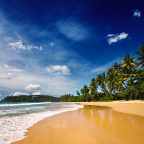 1 Woche Sri Lanka, 5* Hotel mit Frühstück & Flug nur 476 € 1 Woche Sri Lanka, 5* Hotel mit Frühstück & Flug nur 476 €