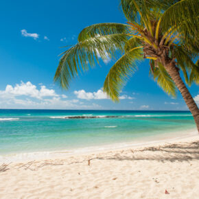 Barbados Kracher: 15 Tage mit gutem Apartment und Flug nur 654€ Barbados Kracher: 15 Tage mit gutem Apartment und Flug nur 654€