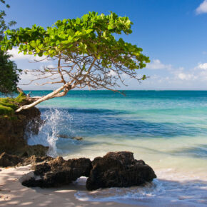 9 Tage Dom Rep mit Flug, Hotel & Transfer für 499 € 9 Tage Dom Rep mit Flug, Hotel & Transfer für 499 €