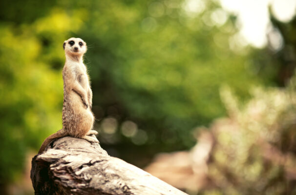 Zoo Leipzig