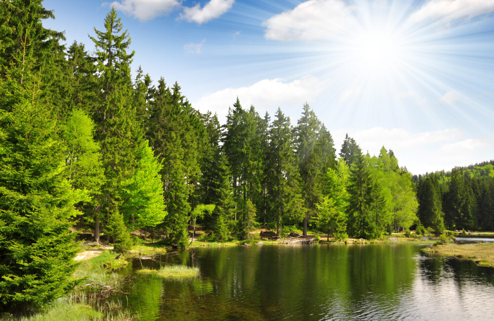 Bayrischer Wald Kleiner Arber See Lohberg