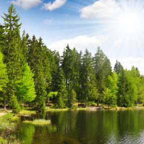 Bayrischer Wald Kleiner Arber See Lohberg