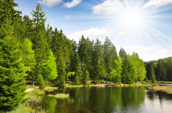 Bayerischer Wald All Inclusive: 4 Tage im 3* Hotel mit All Inclusive ab 129€
