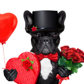 Tolle Geschenke für den Muttertag ab 15 € - Was schenken? Tolle Geschenke für den Muttertag ab 15 € - Was schenken?