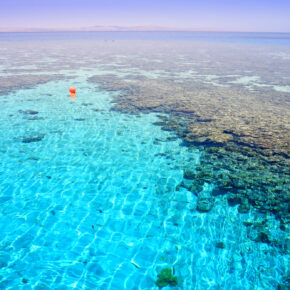 Luxus in Ägypten: 7 Tage im 5* Hotel mit All Inclusive, Flug, Transfer & Zug nur 343€