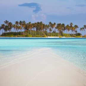 Karibik-Traum: 9 Tage Bonaire im TOP 3* Hotel mit Flug & Transfer nur 589€ Karibik-Traum: 9 Tage Bonaire im TOP 3* Hotel mit Flug & Transfer nur 589€
