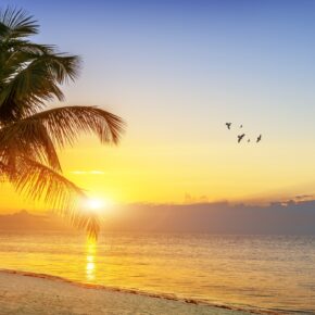 9 Tage Florida-Reise mit Flug & TOP 3* Hotel nur 398 € 9 Tage Florida-Reise mit Flug & TOP 3* Hotel nur 398 €