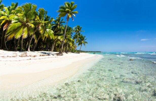 Mauritius Strand mit Palmen