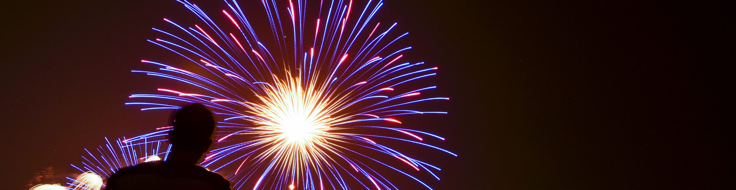 Silvester Feuerwerk mit Panorama