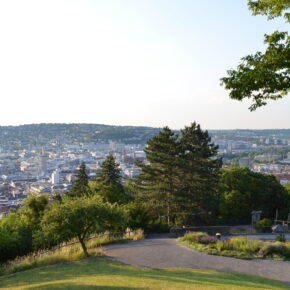 Ausblick vom Teehaus
