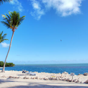 9 Tage Florida inkl. TOP Hotel & Flug nur 333€ 9 Tage Florida inkl. TOP Hotel & Flug nur 333€