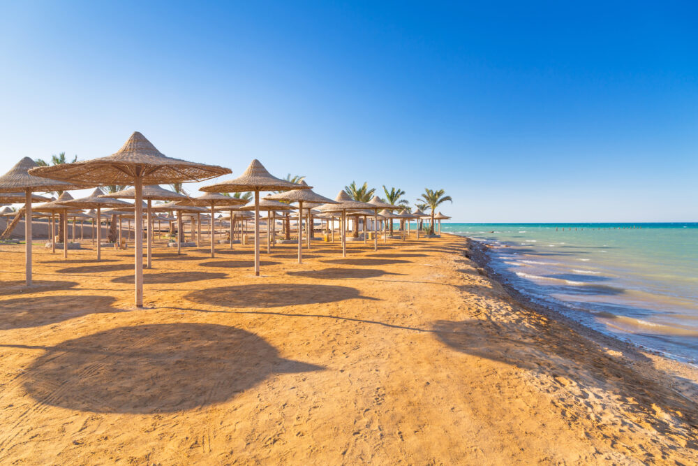 Luxus Pur 7 Tage Hurghada Im Top 5 Albatros White Beach Mit All Inclusive Flug And Transfer Für 