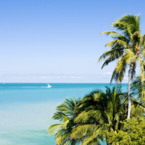 Error Fare: 9 tägige Florida-Reise nur 149 € pro Person mit Flug & 3* Hotel *Beendet* Error Fare: 9 tägige Florida-Reise nur 149 € pro Person mit Flug & 3* Hotel *Beendet*