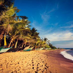 Single-Deal: 7 Tage exotisches Sri Lanka im guten 3* Hotel inkl. Frühstück, Flug & Transfer nur 496€ Single-Deal: 7 Tage exotisches Sri Lanka im guten 3* Hotel inkl. Frühstück, Flug & Transfer nur 496€