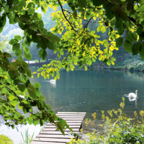 3 Tage Natur & Wellness am Drewitzer See im 4* Van der Valk Naturresort für 69€ 3 Tage Natur & Wellness am Drewitzer See im 4* Van der Valk Naturresort für 69€