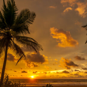 11 Tage Sri Lanka im 4.5* Hotel inkl. Frühstück, Flug & Zug für nur 739 € 11 Tage Sri Lanka im 4.5* Hotel inkl. Frühstück, Flug & Zug für nur 739 €