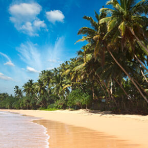 Error Fare Alert: Sri Lanka oder Indonesien hin- und Rückflug ab 137 € VORBEI Error Fare Alert: Sri Lanka oder Indonesien hin- und Rückflug ab 137 € VORBEI