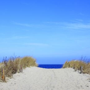 Kurzurlaub Usedom: 3 Tage im TOP 4* Villen im Park mit Frühstück, Dinner & Extras ab 99€ Kurzurlaub Usedom: 3 Tage im TOP 4* Villen im Park mit Frühstück, Dinner & Extras ab 99€