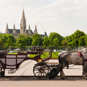 Wien Kutsche