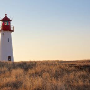 Die besten Restaurants auf Sylt