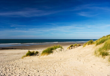 Auszeit an der Nordsee: 4 Tage Niederlande im Landal GreenPark Ameland mit Ferienwohnung nur ...