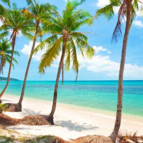 Thailand: 11 Tage Koh Samui in Luxus-Villa mit Infinity Pool & Strandbungalow inkl. Flug nur 448€ Thailand: 11 Tage Koh Samui in Luxus-Villa mit Infinity Pool & Strandbungalow inkl. Flug nur 448€