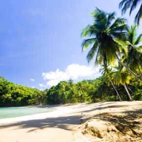 Karibik: 15 Tage Tobago im guten Hotel mit Meerblick & Flug nur 668€ Karibik: 15 Tage Tobago im guten Hotel mit Meerblick & Flug nur 668€