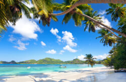 Seychellen Traumurlaub: 8 Tage im TOP 3.5* Apartment mit Flug für NUR 962€
