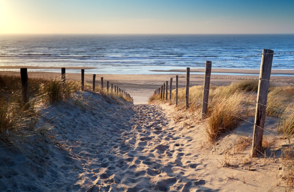 Nordsee Strand Holland