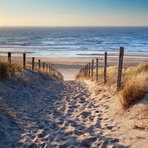 Black Week Kracher: 8 Tage Strandhaus in den Niederlanden direkt an der Nordsee ab 154€ p.P.