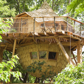 Treehouse Frankreich