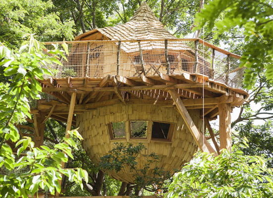 Treehouse Frankreich