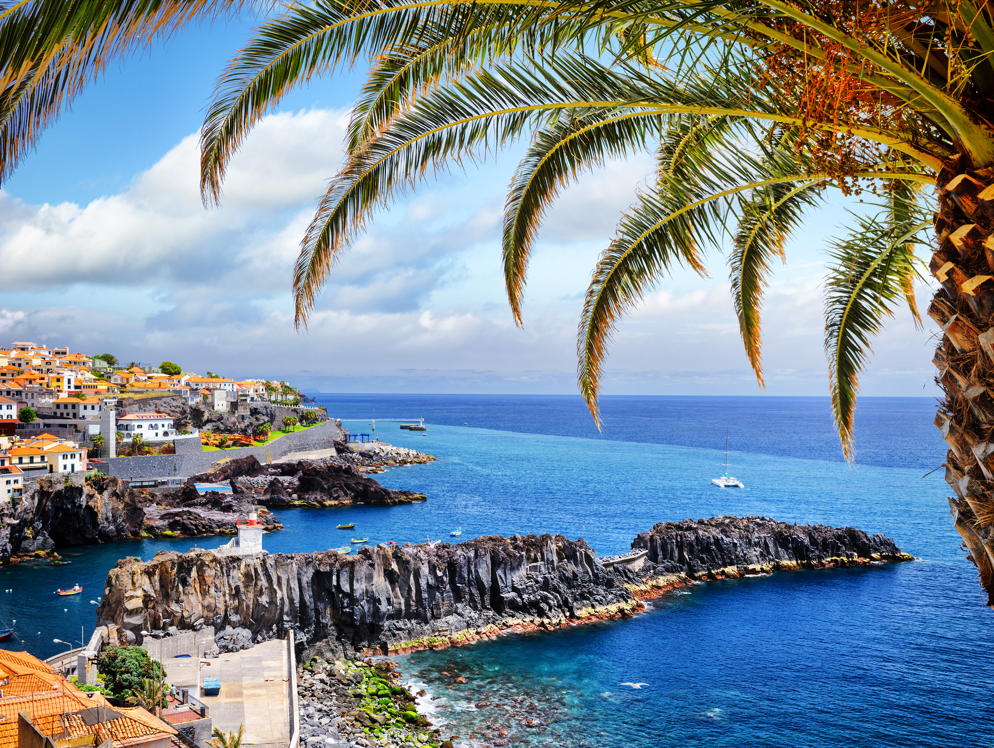 Tage Madeira Flug Und Hotel Tage Madeira Flug Und Hotel