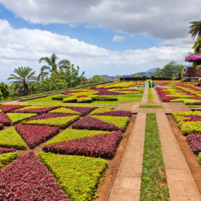 7 Tage Madeira im TOP 4* AWARD Hotel (95% HC) mit Halbpension, Flug & Zug nur 306€ 7 Tage Madeira im TOP 4* AWARD Hotel (95% HC) mit Halbpension, Flug & Zug nur 306€