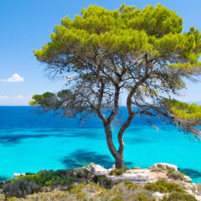 Griechenland-Kracher: 7 Tage Chalkidiki im TOP 4* Hotel mit Frühstück, Flug & Transfer ab 457€