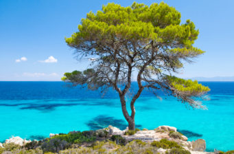 Griechischer Traumurlaub: 8 Tage Chalkidiki im TOP 3* Hotel mit Flug ab 155€