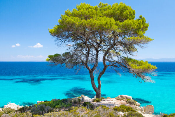 Chalkidiki Blaues Meer