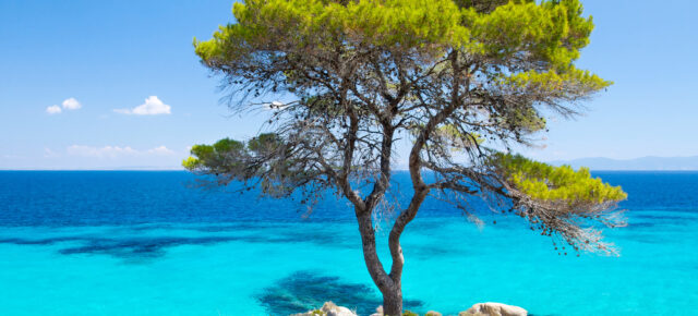 Chalkidiki Blaues Meer