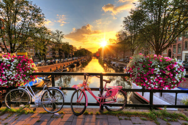 Amsterdam rosa Fahrrad am Kanal