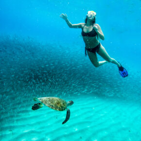 Last Minute in die Karibik: 9 Tage Curaçao mit TOP 3* Hotel, Flug & Transfer nur 599€