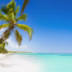 Single-Deal: 10 Tage Dom Rep im TOP 4.5* Hotel mit All Inclusive, Flug & Zug für 953€