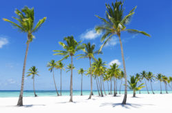 Karibik-Traum: 15 Tage Jamaika im 4* Hotel mit All Inclusive, Flug & Transfer ab 3011€