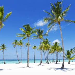Karibik-Urlaub: 8 Tage nach Jamaika im TOP Resort mit Direktflug für 605€