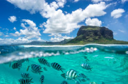 Traumurlaub am Indischen Ozean: 11 Tage Mauritius mit 3* Hotel & Flug NUR 695€